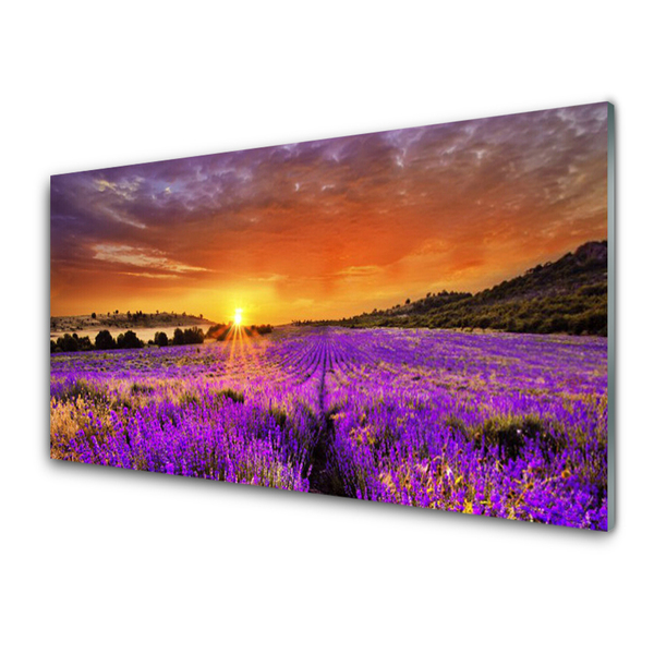 Painel vidro cozinha Campo de lavanda ao pôr do sol