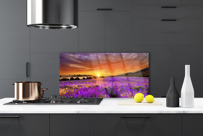 Painel vidro cozinha Campo de lavanda ao pôr do sol