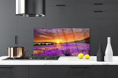 Painel vidro cozinha Campo de lavanda ao pôr do sol