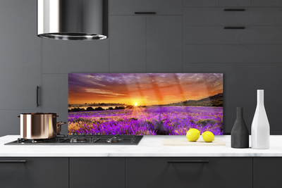 Painel vidro cozinha Campo de lavanda ao pôr do sol