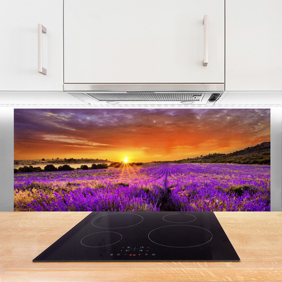 Painel vidro cozinha Campo de lavanda ao pôr do sol