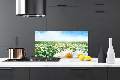 Painel vidro cozinha Margaridas Flores Prado Campo