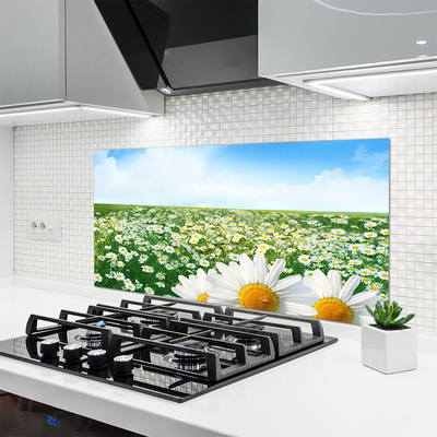 Painel vidro cozinha Margaridas Flores Prado Campo