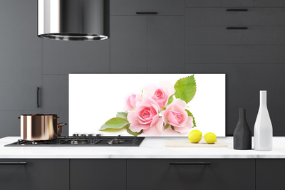 Painel vidro cozinha Rosas Flores Planta Natureza