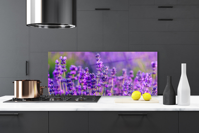 Painel cozinha Campo de lavanda roxa