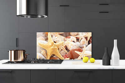 Painel vidro cozinha Praia das Conchas das Estrelas do Mar