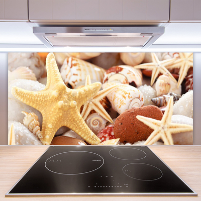 Painel vidro cozinha Praia das Conchas das Estrelas do Mar