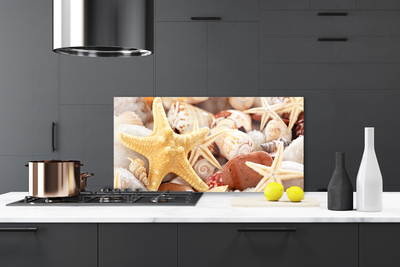 Painel vidro cozinha Praia das Conchas das Estrelas do Mar