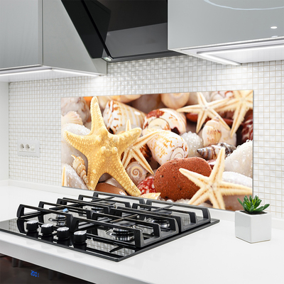 Painel vidro cozinha Praia das Conchas das Estrelas do Mar
