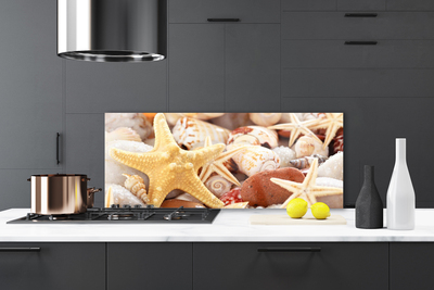 Painel vidro cozinha Praia das Conchas das Estrelas do Mar