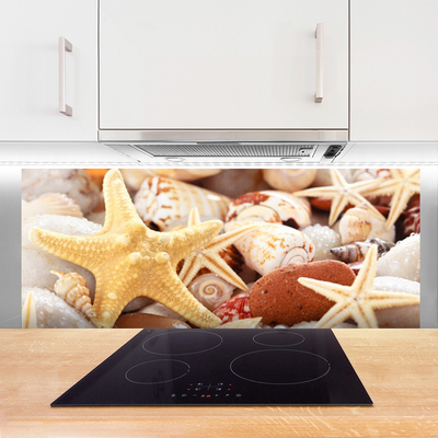 Painel vidro cozinha Praia das Conchas das Estrelas do Mar