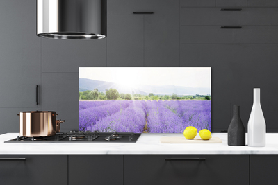 Painel cozinha Campo de Lavanda Natureza Prado