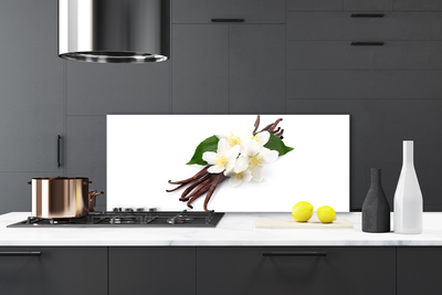 Painel vidro cozinha Fava de baunilha para a cozinha