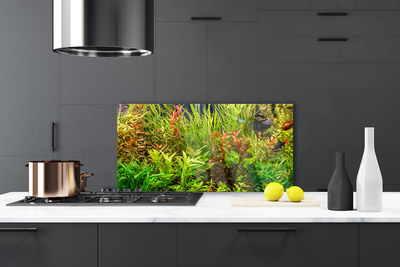 Painel vidro cozinha Plantas para peixes de aquário