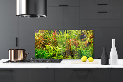 Painel vidro cozinha Plantas para peixes de aquário