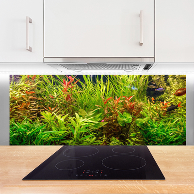 Painel vidro cozinha Plantas para peixes de aquário