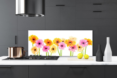 Painel cozinha Flores Gérberas Coloridas