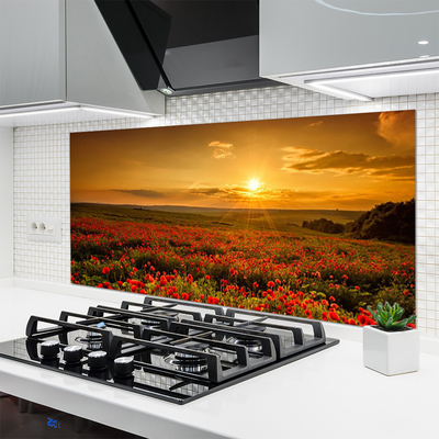 Painel vidro cozinha Campo de papoulas Sunset Meadow
