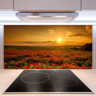 Painel vidro cozinha Campo de papoulas Sunset Meadow