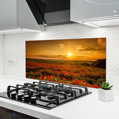 Painel vidro cozinha Campo de papoulas Sunset Meadow
