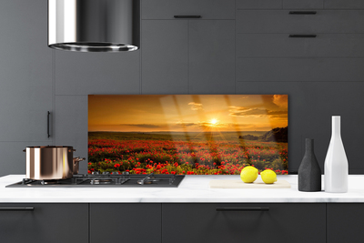 Painel vidro cozinha Campo de papoulas Sunset Meadow