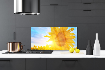 Painel cozinha Flor de Girassol Sol