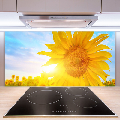 Painel cozinha Flor de Girassol Sol