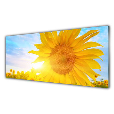 Painel cozinha Flor de Girassol Sol
