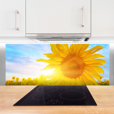 Painel cozinha Flor de Girassol Sol