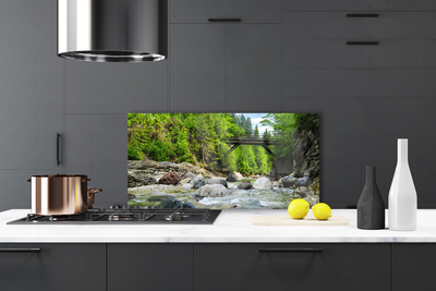 Painel vidro cozinha Ponte de madeira na floresta