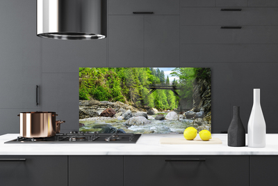 Painel vidro cozinha Ponte de madeira na floresta