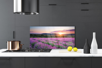 Painel vidro cozinha Pôr do sol nos campos de lavanda