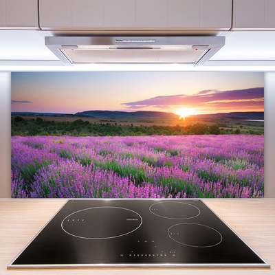 Painel vidro cozinha Pôr do sol nos campos de lavanda