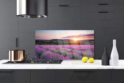 Painel vidro cozinha Pôr do sol nos campos de lavanda