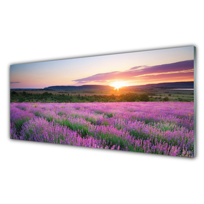 Painel vidro cozinha Pôr do sol nos campos de lavanda