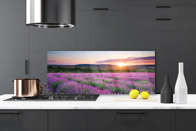 Painel vidro cozinha Pôr do sol nos campos de lavanda