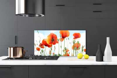 Painel cozinha Flores Papoulas Prado Campo Natureza