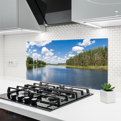 Painel vidro cozinha Paisagem da Floresta do Lago