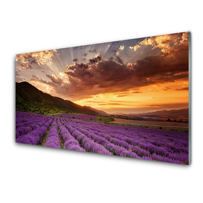 Painel cozinha Pôr do sol no campo de lavanda