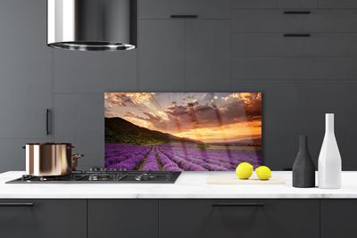 Painel cozinha Pôr do sol no campo de lavanda