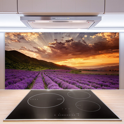Painel cozinha Pôr do sol no campo de lavanda
