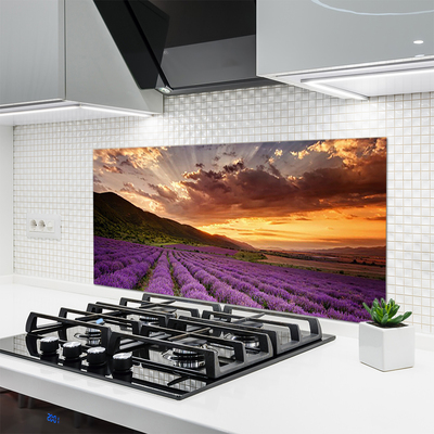 Painel cozinha Pôr do sol no campo de lavanda