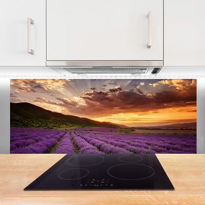 Painel cozinha Pôr do sol no campo de lavanda