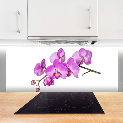 Painel vidro cozinha Orquídea Flores de Orquídea