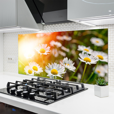 Painel cozinha Margaridas Flores Raios