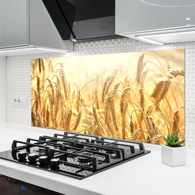 Painel cozinha Orelhas de Campo de Grãos Natureza