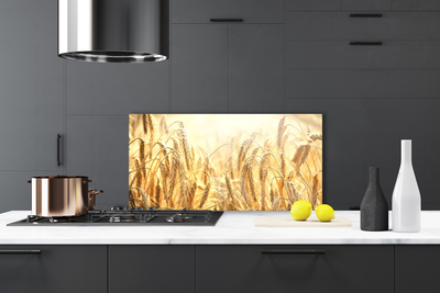 Painel cozinha Orelhas de Campo de Grãos Natureza