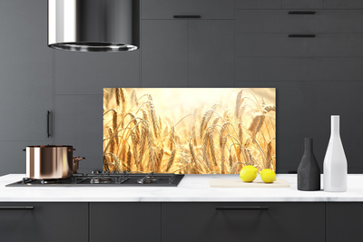 Painel cozinha Orelhas de Campo de Grãos Natureza