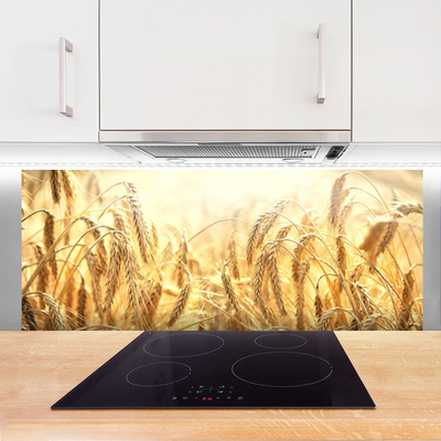 Painel cozinha Orelhas de Campo de Grãos Natureza