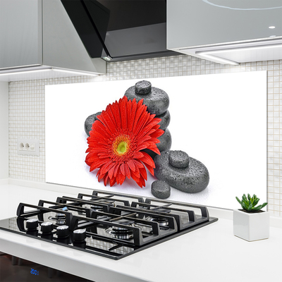 Painel cozinha Flores de Gérbera Vermelha